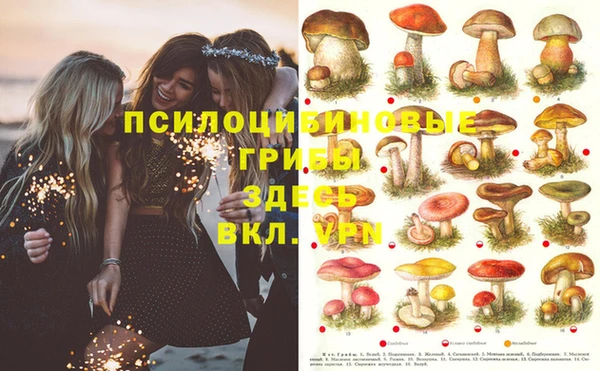 прущая мука Беломорск
