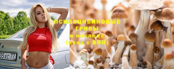 прущая мука Беломорск